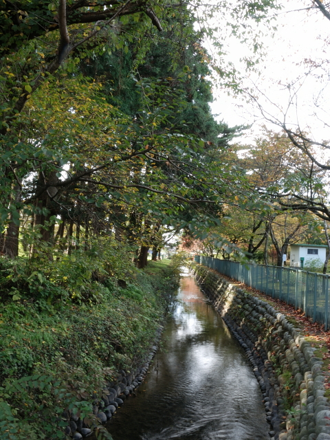 2006n0896a.jpg